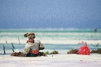 photos Zanzibar